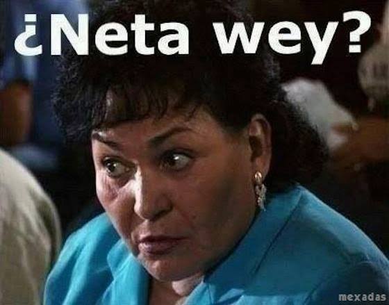 Neta Wey Mexican Slang