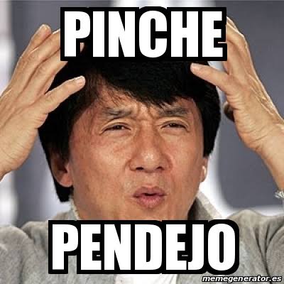 Pinche pendejo Mexican Slang