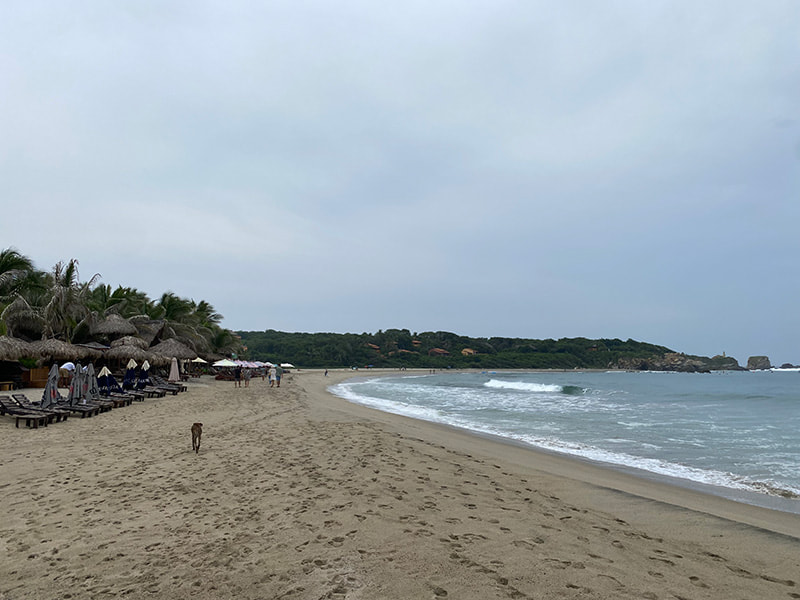 Best beaches in Puerto Escondido, Oaxaca. La Punta