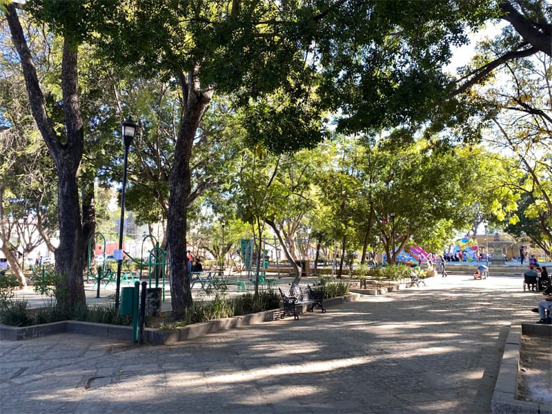 What to do with kids in Oaxaca City - Parque Llano