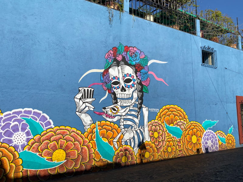 Oaxaca City Street Art - Jalatlaco - Catrina blue wall