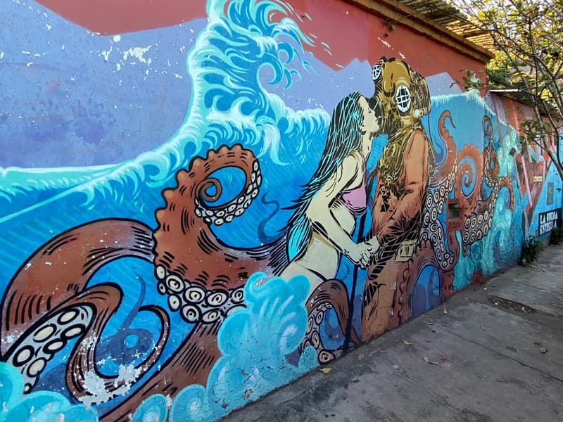 Oaxaca City Street Art - Jalatlaco - Diver