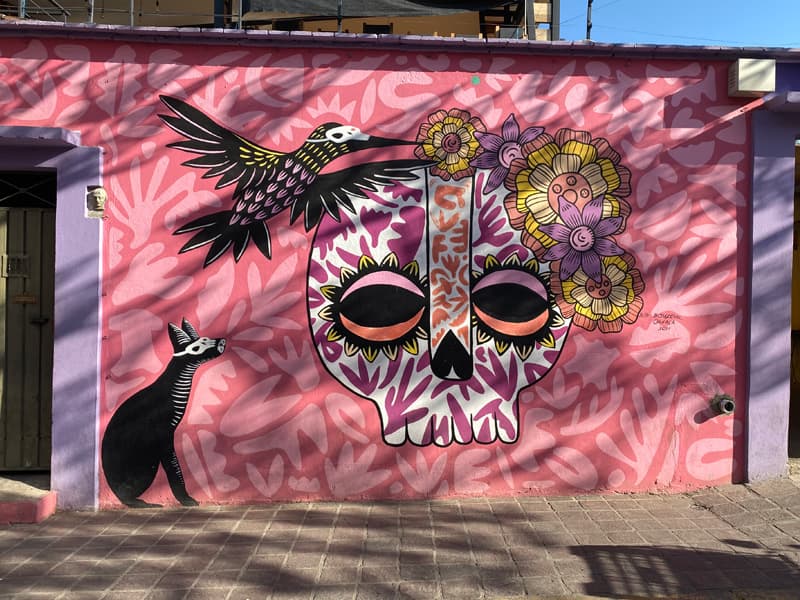 Oaxaca City Street Art - Jalatlaco - skull on pink wall