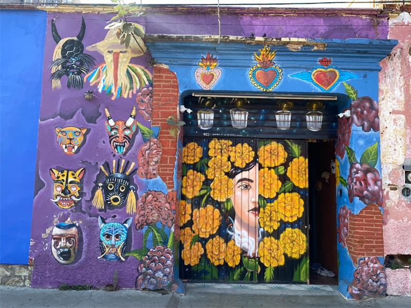 Oaxaca City Street Art - Jalatlaco - front door