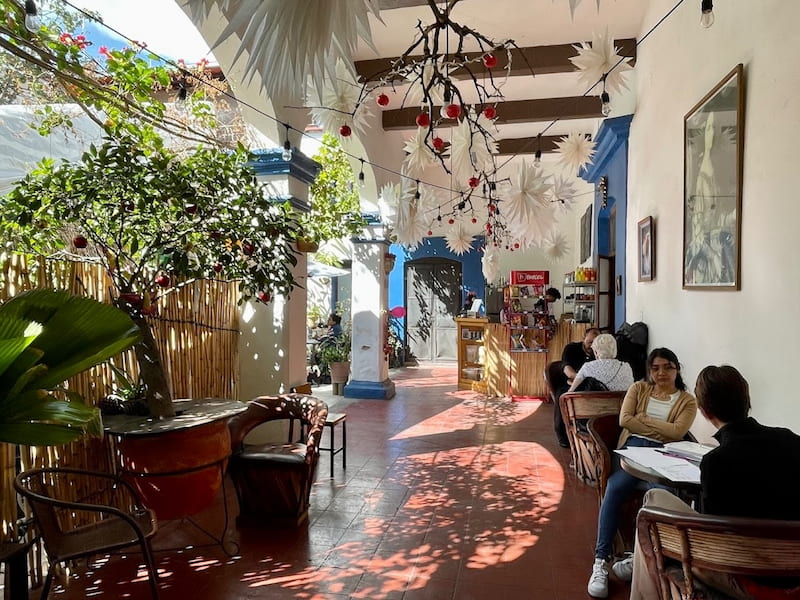 Spanish Immersion School Oaxaca - Spanish classes