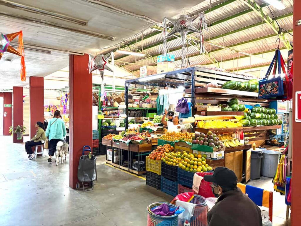 Mercado Sánchez Pascuas. Oaxaca's best markets for fresh food
