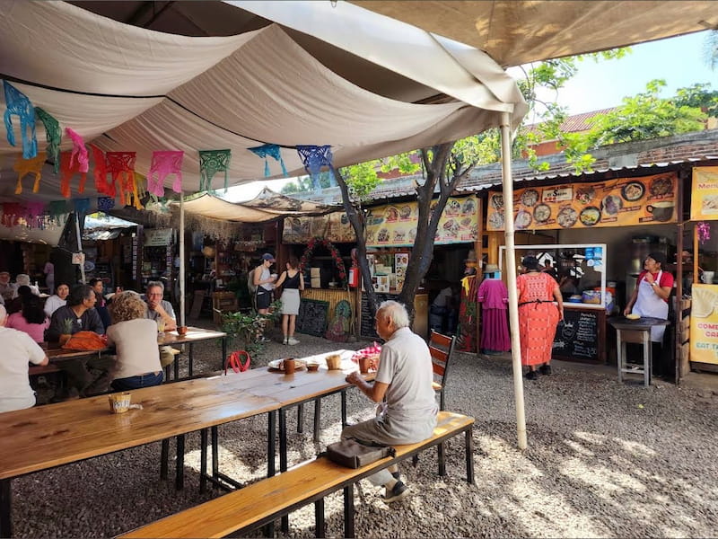 La Cosecha Organic Market. Oaxaca's best organic market