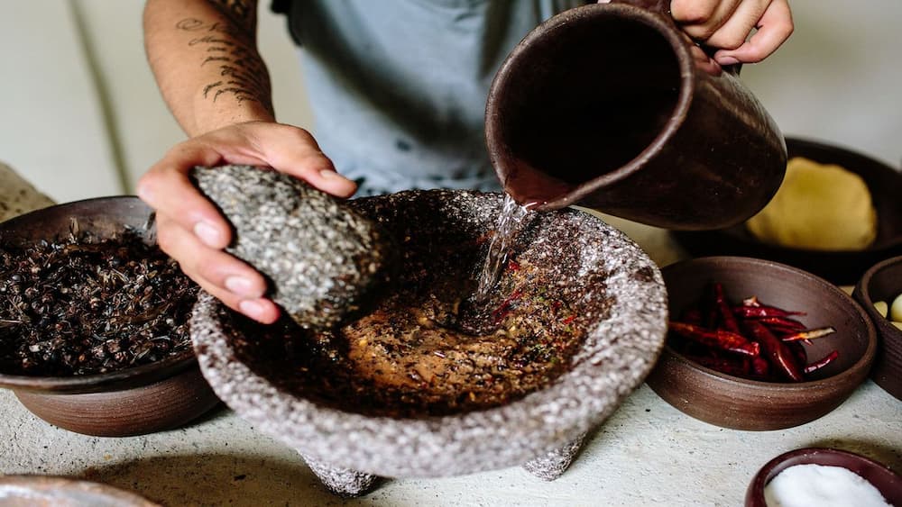 Chicatana Ant Salsa