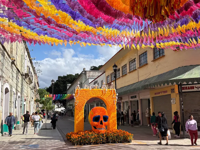 Day of the Dead Oaxaca City street photo of skull